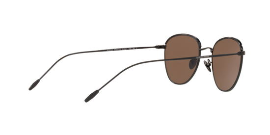 Giorgio Armani Sunglasses AR6048 300173