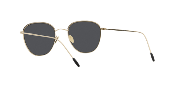 Giorgio Armani Sunglasses AR6048 300287