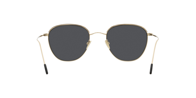 Giorgio Armani Sunglasses AR6048 300287