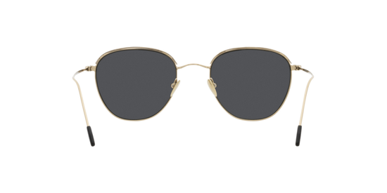 Giorgio Armani Sunglasses AR6048 300287