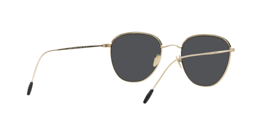 Giorgio Armani Sunglasses AR6048 300287