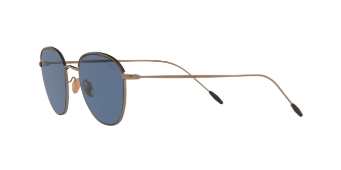 Giorgio Armani Sunglasses AR6048 300680