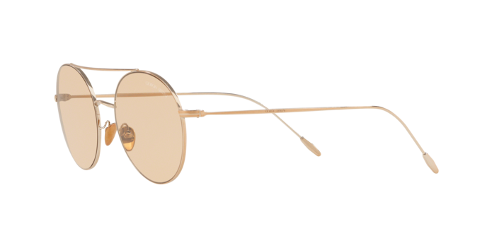 Giorgio Armani Sunglasses AR6050 301173