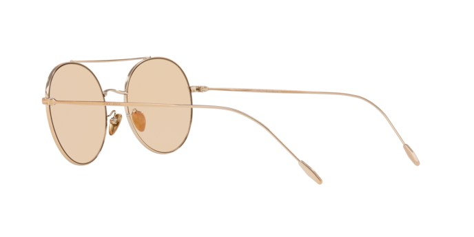 Giorgio Armani Sunglasses AR6050 301173