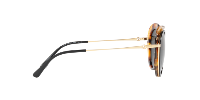 Giorgio Armani Sunglasses AR6055 302187