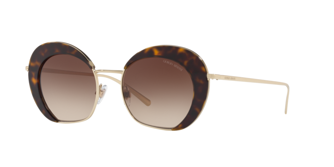 Giorgio Armani Sunglasses AR6067 301313