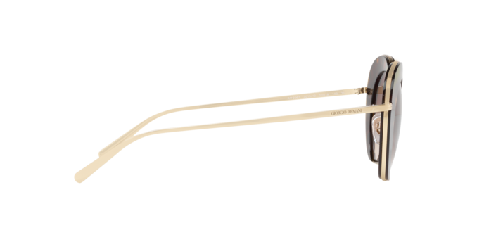 Giorgio Armani Sunglasses AR6067 301313