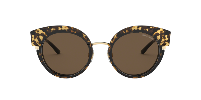 Giorgio Armani Sunglasses AR6091 301373