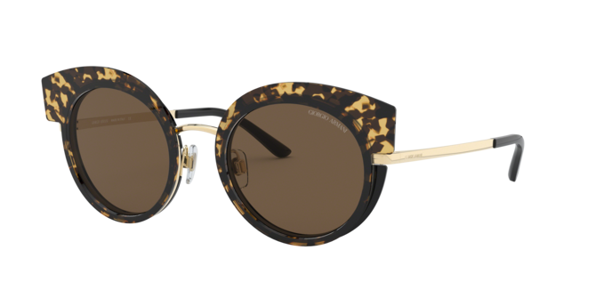 Giorgio Armani Sunglasses AR6091 301373