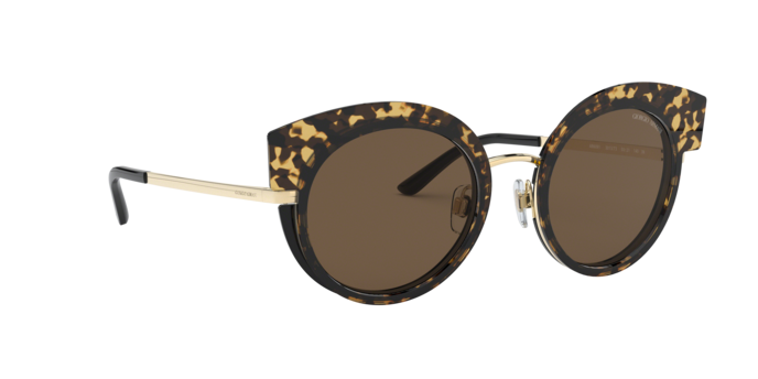 Giorgio Armani Sunglasses AR6091 301373