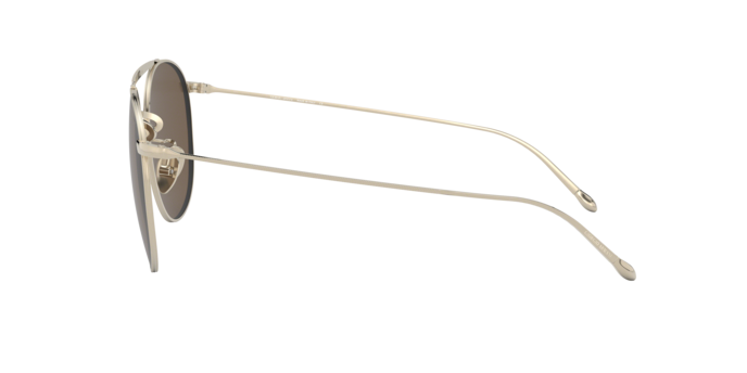 Giorgio Armani Sunglasses AR6092 301373