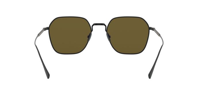 Giorgio Armani Sunglasses AR6104 300173