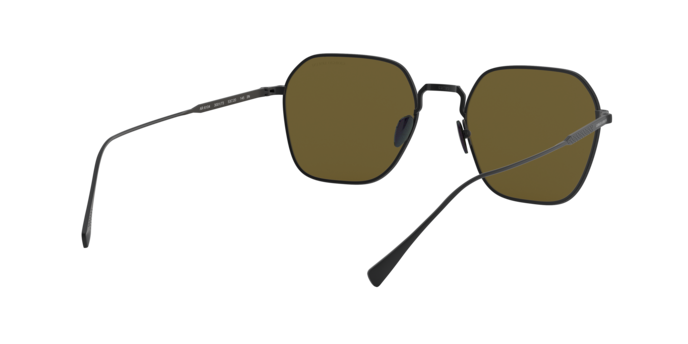 Giorgio Armani Sunglasses AR6104 300173