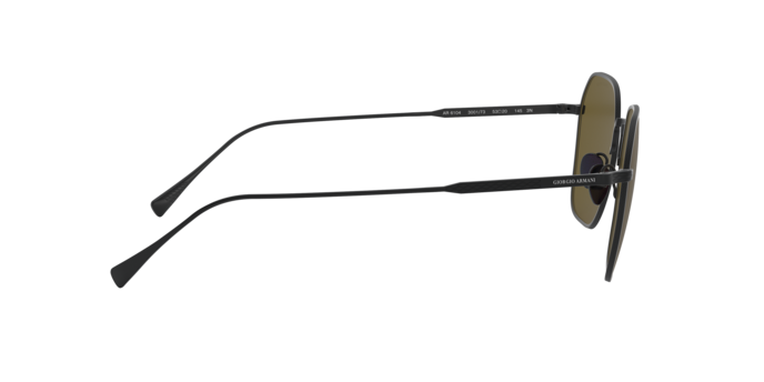 Giorgio Armani Sunglasses AR6104 300173