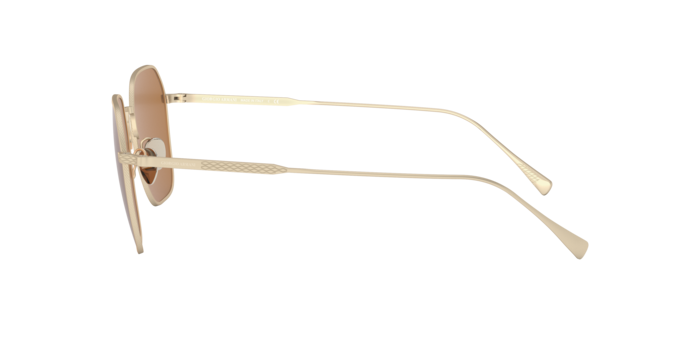 Giorgio Armani Sunglasses AR6104 300273