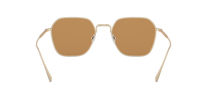 Giorgio Armani Sunglasses AR6104 300273