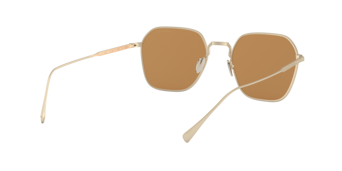 Giorgio Armani Sunglasses AR6104 300273