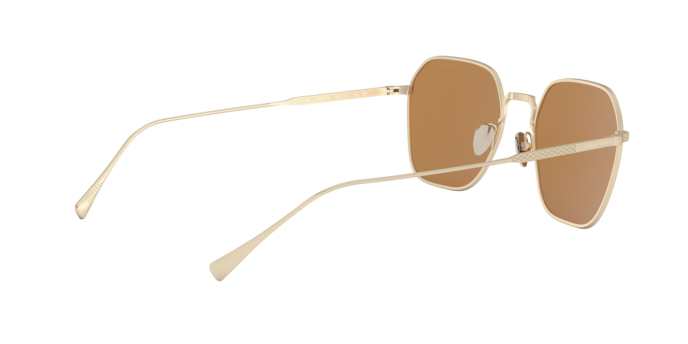 Giorgio Armani Sunglasses AR6104 300273