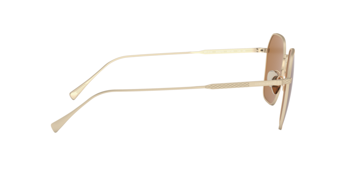 Giorgio Armani Sunglasses AR6104 300273