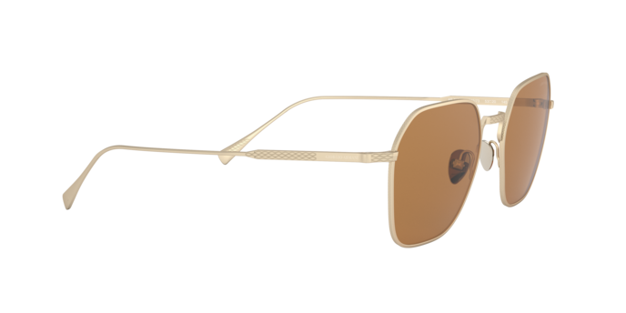 Giorgio Armani Sunglasses AR6104 300273