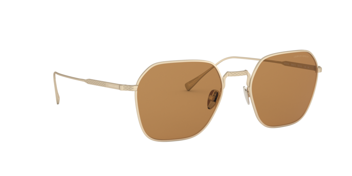 Giorgio Armani Sunglasses AR6104 300273