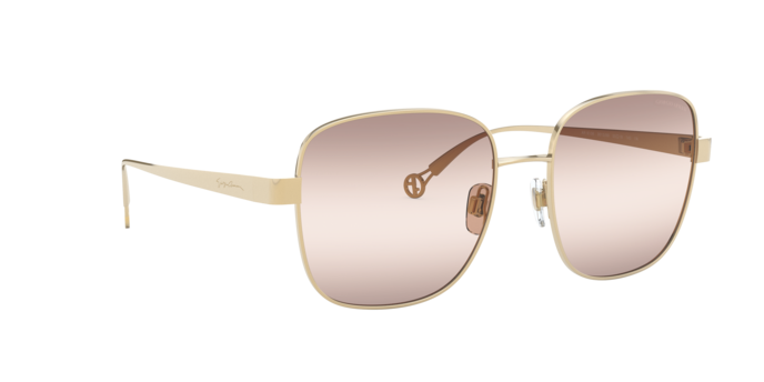 Giorgio Armani Sunglasses AR6106 301389