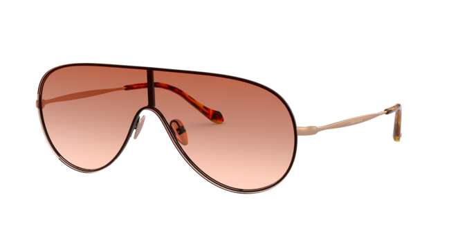 Giorgio Armani Sunglasses AR6108 300113