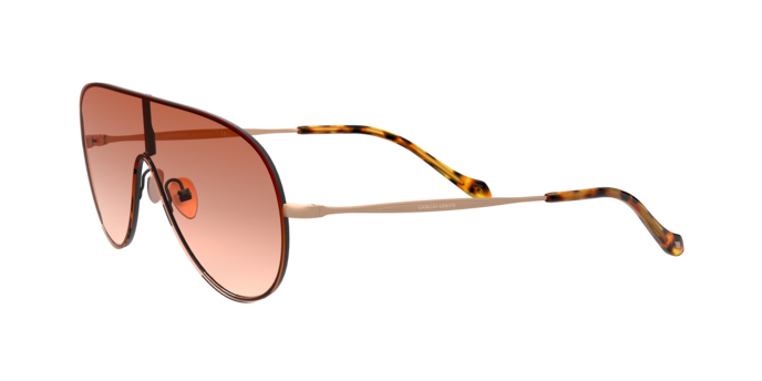 Giorgio Armani Sunglasses AR6108 300113