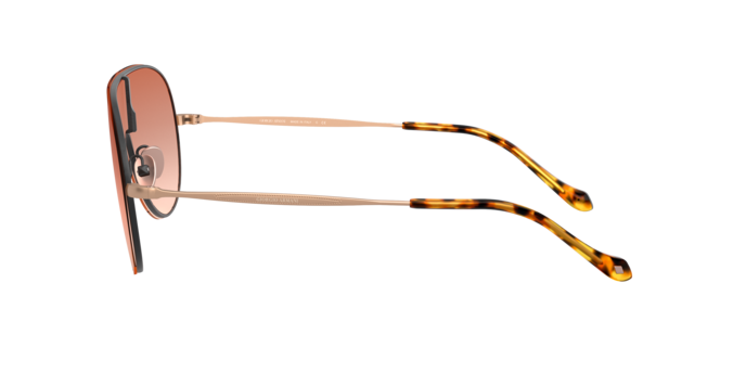 Giorgio Armani Sunglasses AR6108 300113