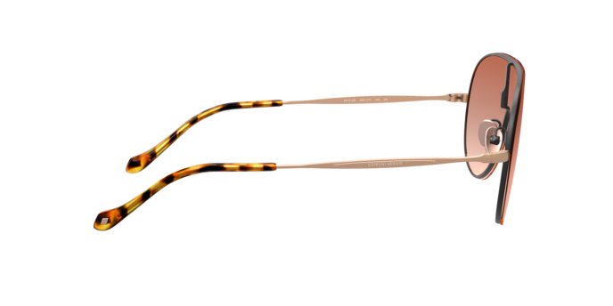 Giorgio Armani Sunglasses AR6108 300113