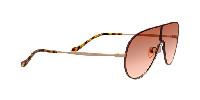 Giorgio Armani Sunglasses AR6108 300113