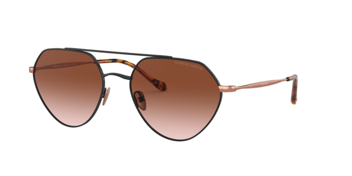 Giorgio Armani Sunglasses AR6111 300113