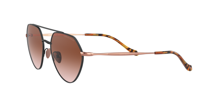 Giorgio Armani Sunglasses AR6111 300113