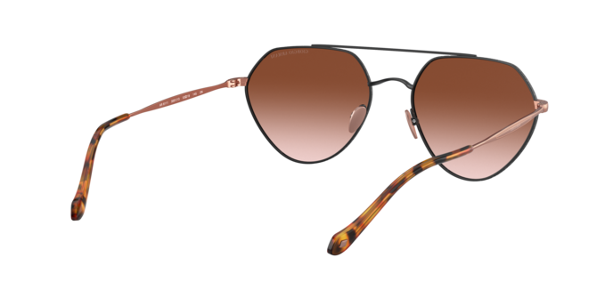 Giorgio Armani Sunglasses AR6111 300113