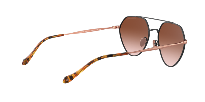 Giorgio Armani Sunglasses AR6111 300113