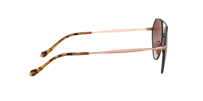 Giorgio Armani Sunglasses AR6111 300113