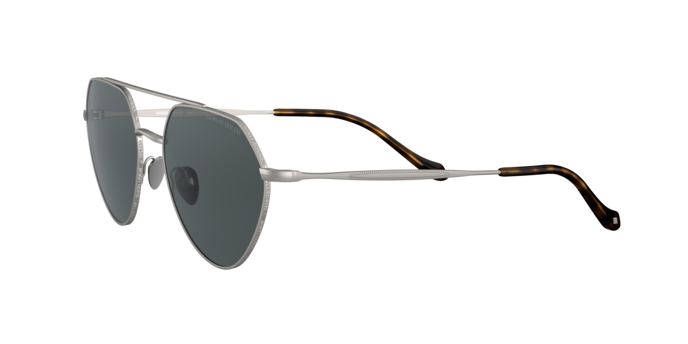 Giorgio Armani Sunglasses AR6111 300387