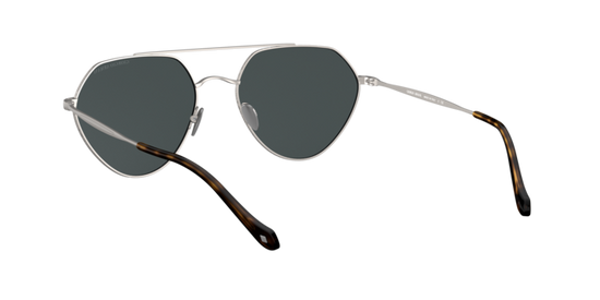 Giorgio Armani Sunglasses AR6111 300387