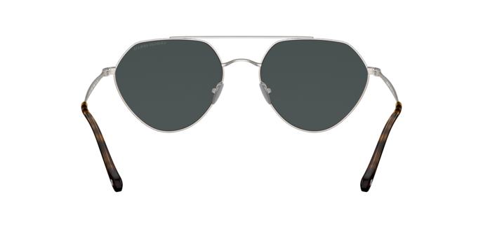 Giorgio Armani Sunglasses AR6111 300387