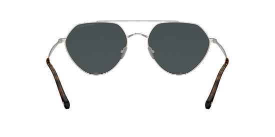 Giorgio Armani Sunglasses AR6111 300387