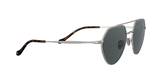 Giorgio Armani Sunglasses AR6111 300387