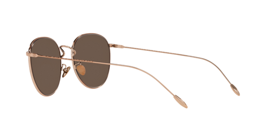 Giorgio Armani Sunglasses AR6114 301103