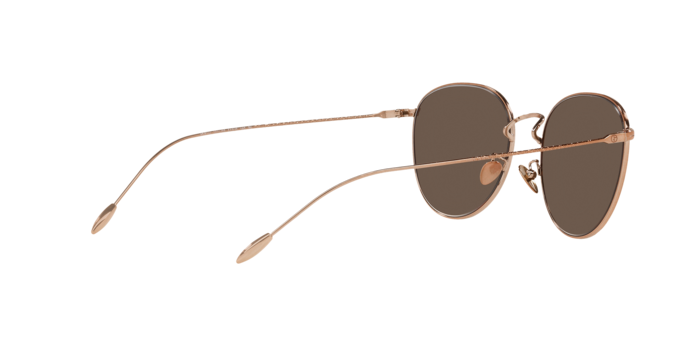 Giorgio Armani Sunglasses AR6114 301103