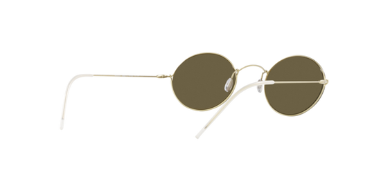 Giorgio Armani Sunglasses AR6115T 300273