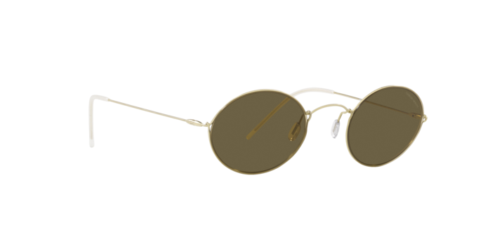 Giorgio Armani Sunglasses AR6115T 300273