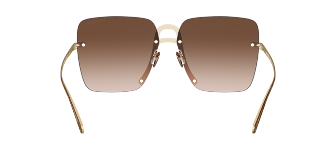 Giorgio Armani Sunglasses AR6118 300413
