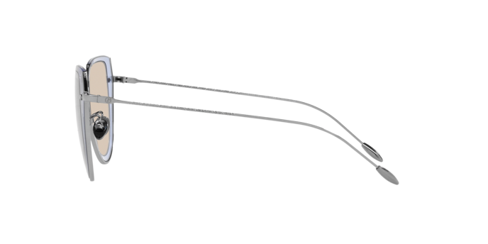 Giorgio Armani Sunglasses AR6119 3010/3