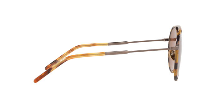 Giorgio Armani Sunglasses AR6121J 300613