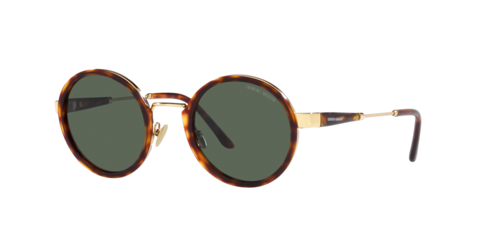 Giorgio Armani Sunglasses AR6133 301371