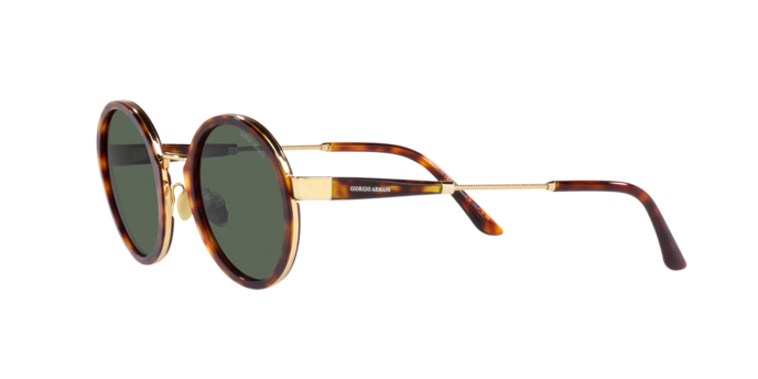 Giorgio Armani Sunglasses AR6133 301371